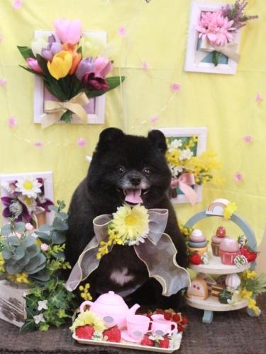 20230331れおくん